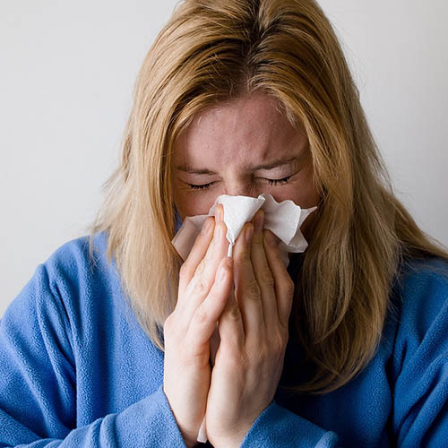 Vue interieure de la Pharmacie des Rochelles